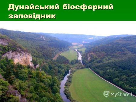 Дунайський біосферний заповідник. Дунайський біосферний заповідник створений Указом Президента України в 1998 році на базі природного заповідника Дунайські.