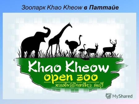 Зоопарк Khao Kheow в Паттайе. Одним из самых интересных и больших зоопарков Таиланда, считается Кхао Кео (Khao Kheow Open Zoо), который находится в Паттайе.