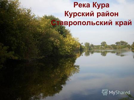 Река Кура Курский район Ставропольский край. Кура сильно петляет, размывая рыхлые осадочные породы.