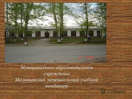 Муниципальное образовательное учреждение Малышевский межшкольный учебный комбинат.