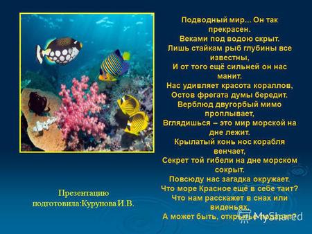 Презентацию подготовила:Курунова И.В. Подводный мир... Он так прекрасен. Веками под водою скрыт. Лишь стайкам рыб глубины все известны, И от того ещё сильней.