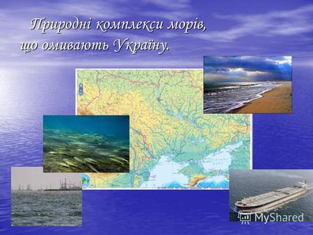 Природні комплекси морів, що омивають Україну. Природні комплекси морів, що омивають Україну.