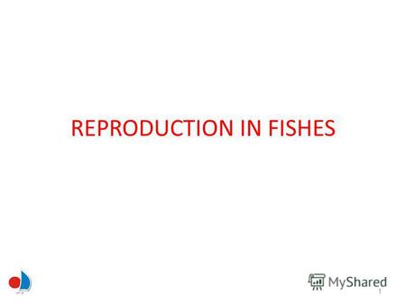 REPRODUCTION IN FISHES 1. Introduction Great diversity in reproduction patterns of fishes Many change gender Some mate for life while others are promiscuous.