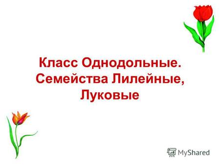 Класс Однодольные. Семейства Лилейные, Луковые. Семейство Лилейные Всего 1300 видов, в Казахстане 57. Многолетние травянистые растения. Имеют видоизмененные.
