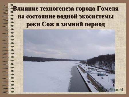 Влияние техногенеза города Гомеля на состояние водной экосистемы реки Сож в зимний период.