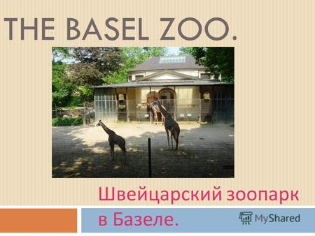 THE BASEL ZOO. Швейцарский зоопарк в Базеле. About the Basel Zoo … Базельский Зоопарк. Местные жители ласково называют его « Золли ». Он был основан.