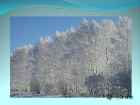 Чародейкою Зимою Околдован, лес стоит. И под снежной бахромою, Неподвижною, немою, Чудной жизнью он блестит.