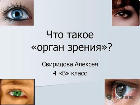 Что такое «орган зрения»? Свиридова Алексея 4 «В» класс.