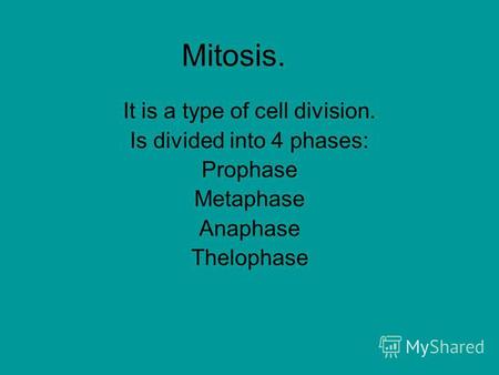 Mitosis. It is a type of cell division. Is divided into 4 phases: Prophase Metaphase Anaphase Thelophase.