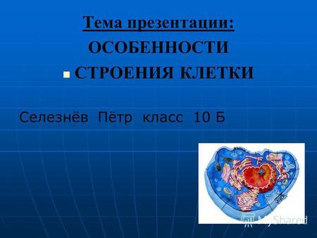 Тема презентации: ОСОБЕННОСТИ СТРОЕНИЯ КЛЕТКИ Селезнёв Пётр класс 10 Б.