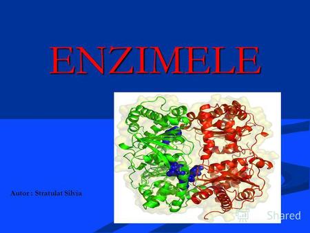ENZIMELE Autor : Stratulat Silvia. OBIECTIVELE: Natura chimică şi rolul biologic al enzimelor. Dovezile naturii proteice a enzimelor. Diferenţa dintre.