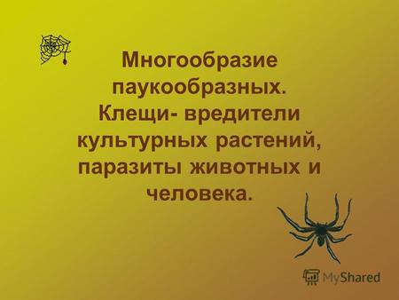 Многообразие паукообразных. Клещи- вредители культурных растений, паразиты животных и человека.