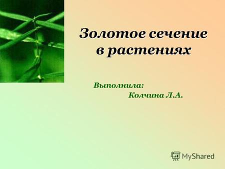Золотое сечение в растениях Выполнила: Колчина Л.А.