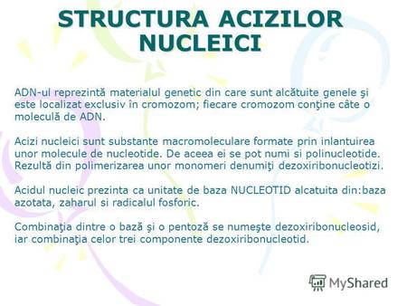STRUCTURA ACIZILOR NUCLEICI ADN-ul reprezintă materialul genetic din care sunt alcătuite genele şi este localizat exclusiv în cromozom; fiecare cromozom.