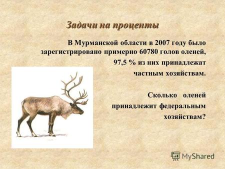 Задачи на проценты В Мурманской области в 2007 году было зарегистрировано примерно 60780 голов оленей, 97,5 % из них принадлежат частным хозяйствам. Сколько.