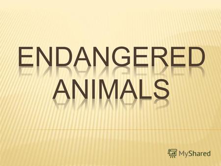 Endangered animals: species that are in danger of going extinct or destroyed.