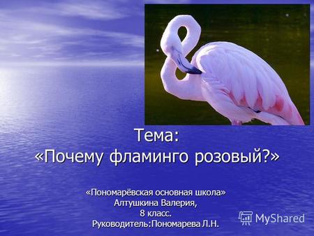 Тема: «Почему фламинго розовый?» «Пономарёвская основная школа» Алтушкина Валерия, 8 класс. Руководитель:Пономарева Л.Н.