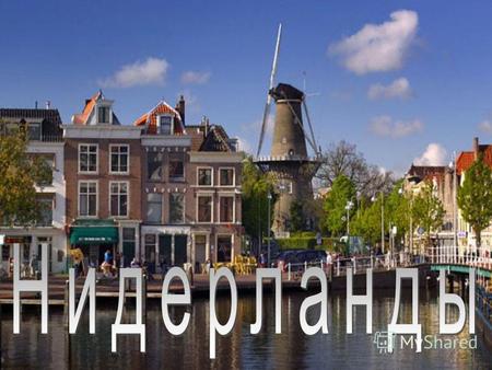 Нидерланды королевство Площадь 41,5 тыс. кв. км Население 16407,4 тыс.чел. (2005) СтолицаАмстердам Форма правленияКонституционная монархия. Административное.
