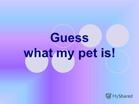 Guess what my pet is!. My pet 1. I have a pet. 2. His name is Willy. 3. Willy is not big, he is only three. 4. Willy is kind, beautiful and very clever.