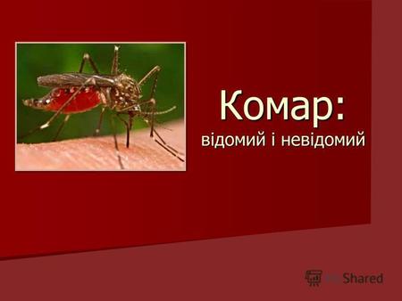 Комар: відомий і невідомий. Класифікація Класифікація Царство: Тварини (Metazoa) Тип:Членистоногі (Arthropoda) Клас: Комахи (Insecta) Ряд:Двокрилі (Diptera)