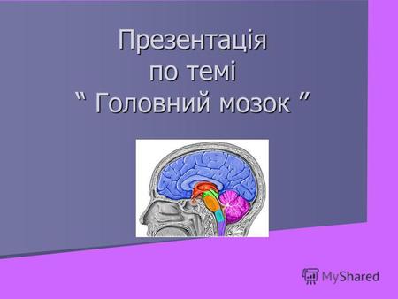 Презентація по темі Головний мозок Презентація по темі Головний мозок.