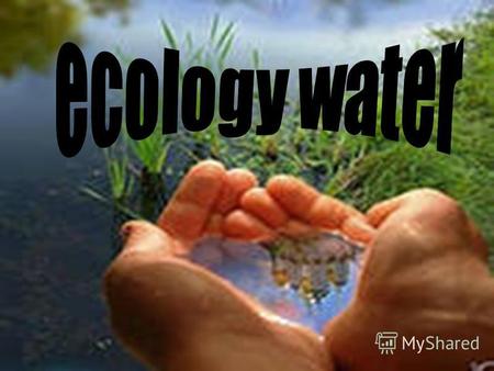 Ecology water. Every day, using water a man does not even reflect above that how many harmful organisms it admits in the organism.