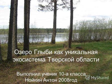 Озеро Глыби как уникальная экосистема Тверской области Выполнил ученик 10-а класса Нойкин Антон 2008 год.
