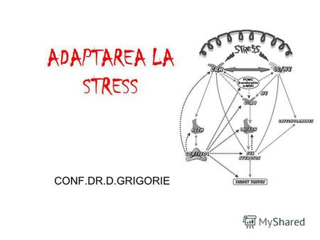 ADAPTAREA LA STRESS CONF.DR.D.GRIGORIE. Sistemul de stress Definitie: Stress = o stare de amenintare a homeostaziei care poate fi contracarata de o serie.
