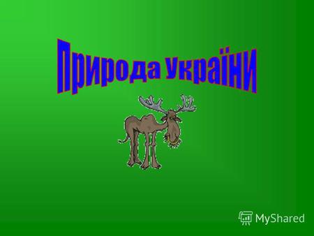 Рослинний світ Тваринний світ В кінець Основними типами рослинності в Україні є: Назад лісова, степова, лучна, болотна.