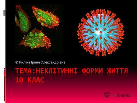 © Риліна Ірина Олександрівна. Мета уроку: Дати поняття про віруси, як неклітинні форми життя, внутрішньоклітинних паразитів Розвинути вміння відрізняти.