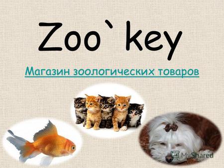 Zoo`key Магазин зоологических товаров Магазин зоологических товаров.