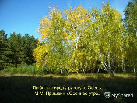 Люблю природу русскую. Осень. М.М. Пришвин «Осеннее утро»