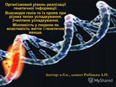 Організмовий рівень реалізації генетичної інформації. Взаємодія генів та їх прояв при різних типах успадкування. Зчеплене успадкування. Мінливість у людини.