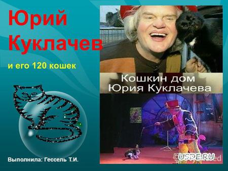 Юрий Куклачев Выполнила: Гессель Т.И. и его 120 кошек.