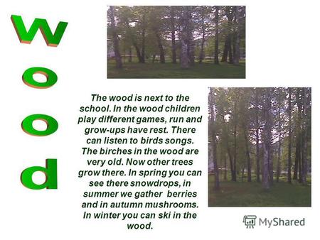 The wood is next to the school. In the wood children play different games, run and grow-ups have rest. There can listen to birds songs. The birches in.