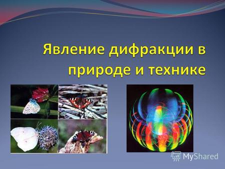 Дифракционная окраска птиц, бабочек и жуков очень распространена в природе. Большое разнообразие в оттенках дифракционных цветов свойственно павлинам,