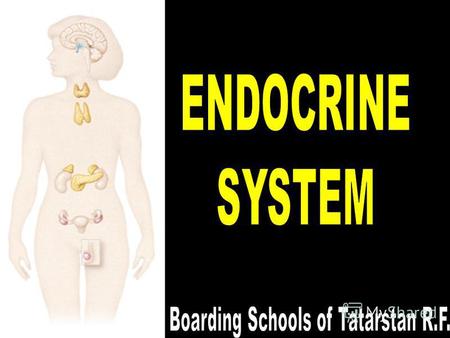 7/26/2015Mehmet KÖYLÜ2 ENDOCRINE SYSTEM Endocrine system helps to regulation and coordination of body activities. The endocrine system and nervous system.