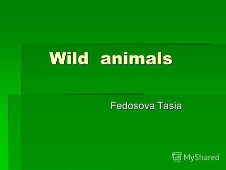 Wild animals Wild animals Fedosova Tasia Fedosova Tasia.