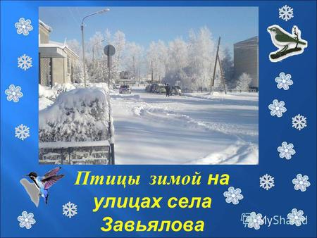 Птицы зимой на улицах села Завьялова. Работу выполнила Ученица 2-а класса Заворникова Настя.