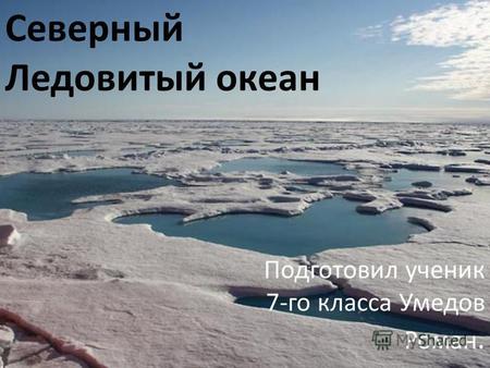 Подготовил ученик 7-го класса Умедов Роман. Северный Ледовитый океан.