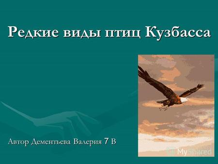 Редкие виды птиц Кузбасса Автор Дементьева Валерия 7 В.