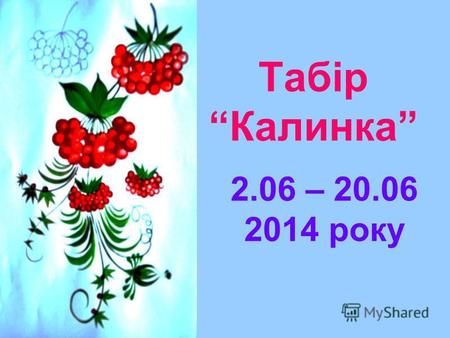 Табір Калинка 2.06 – 20.06 2014 року. Екскурсія в бібліотеку.