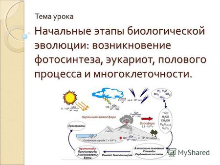 Начальные этапы биологической эволюции: возникновение фотосинтеза, эукариот, полового процесса и многоклеточности. Тема урока.