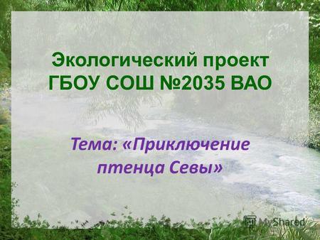Экологический проект ГБОУ СОШ 2035 ВАО Тема: «Приключение птенца Севы»