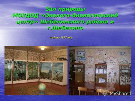 Зал природы МОУДОД «Эколого-биологический центр» Шебекинского района и г.Шебекино создан в 1997 году создан в 1997 году.