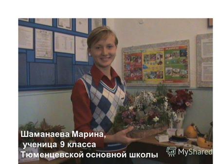 Шаманаева Марина, ученица 9 класса Тюменцевской основной школы.