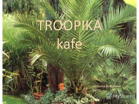 TROOPIKA kafe Veronika Buldakova Av 09. Описание услуги Только у нас вы сможете расслабиться среди пальм и насладиться пением птиц. При этом выпить любимый.