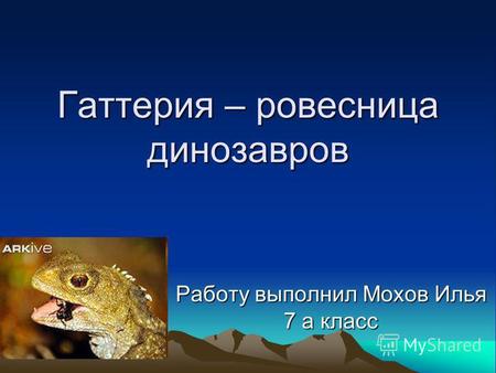 Гаттерия – ровесница динозавров Работу выполнил Мохов Илья 7 а класс.