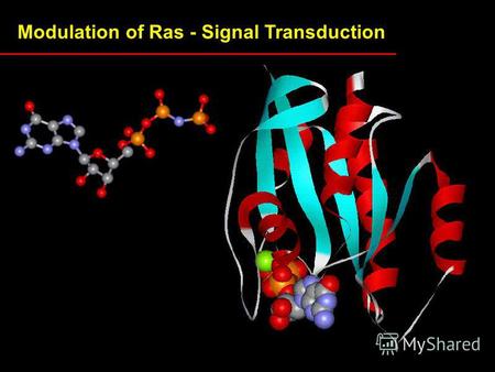 Modulation of Ras - Signal Transduction. Ras - Raf signal transduction.