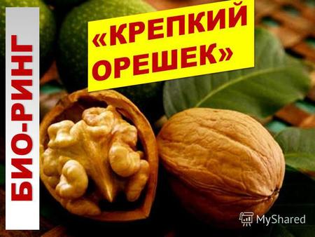 БИО-РИНГ «Чтобы добраться до ядра грецкого ореха, нужно расколоть его скорлупу!» восточная мудрость.